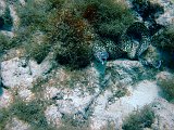 Curacao 04-12 301